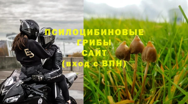 MESCALINE Белокуриха