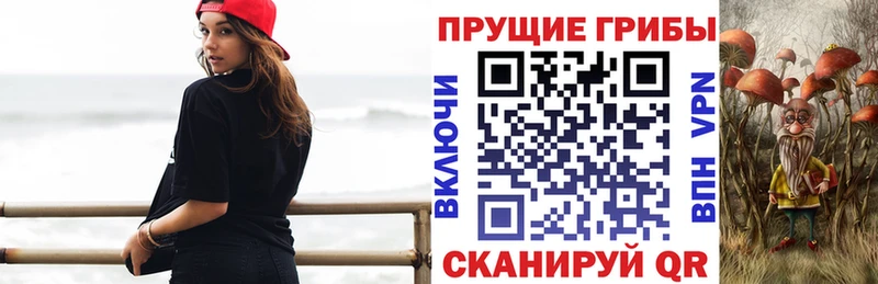 Галлюциногенные грибы Psilocybine cubensis shop формула Верхотурье